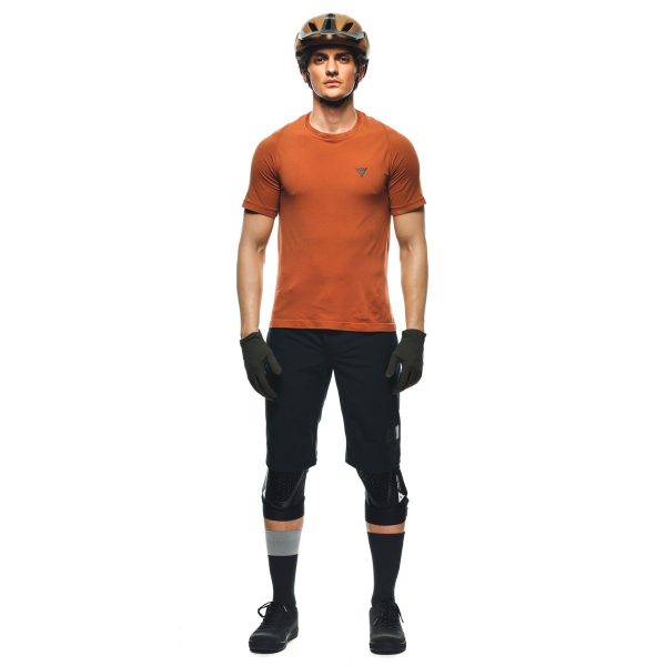 HGL Baciu - immagine 10